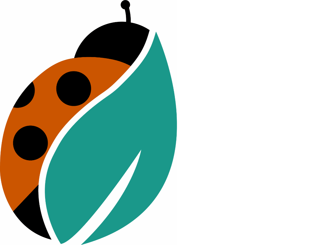 System • Image et Texte